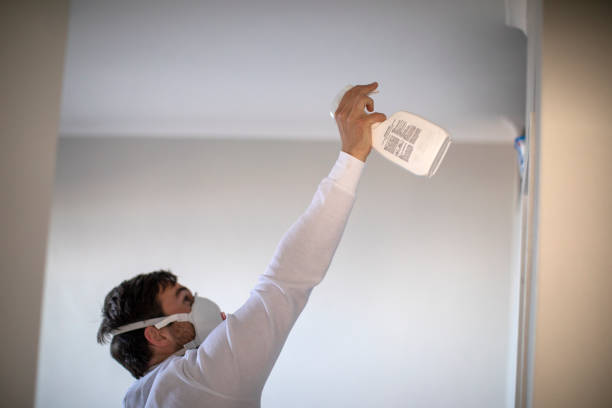 Certified Mold Removal in Carencro, LA