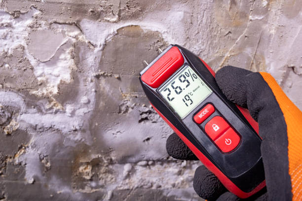 Best Water Damage Restoration  in Carencro, LA