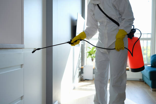 Best Residential Mold Removal  in Carencro, LA