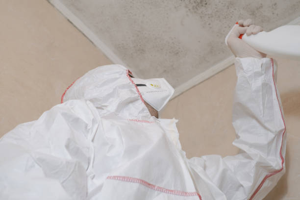 Best Certified Mold Removal  in Carencro, LA