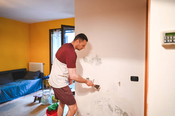 Best Mold Removal Company Near Me  in Carencro, LA