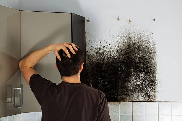 Best Commercial Mold Removal  in Carencro, LA