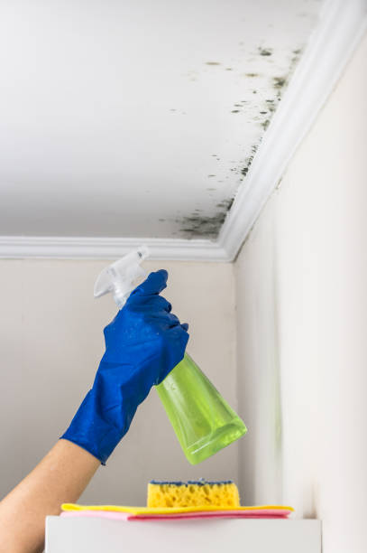 Best Mold Testing  in Carencro, LA